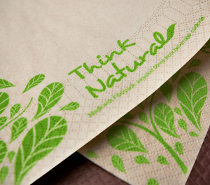 Serwetki FATO EcoNatural 33x33 2-warstwowe Fiberpack 50 szt.